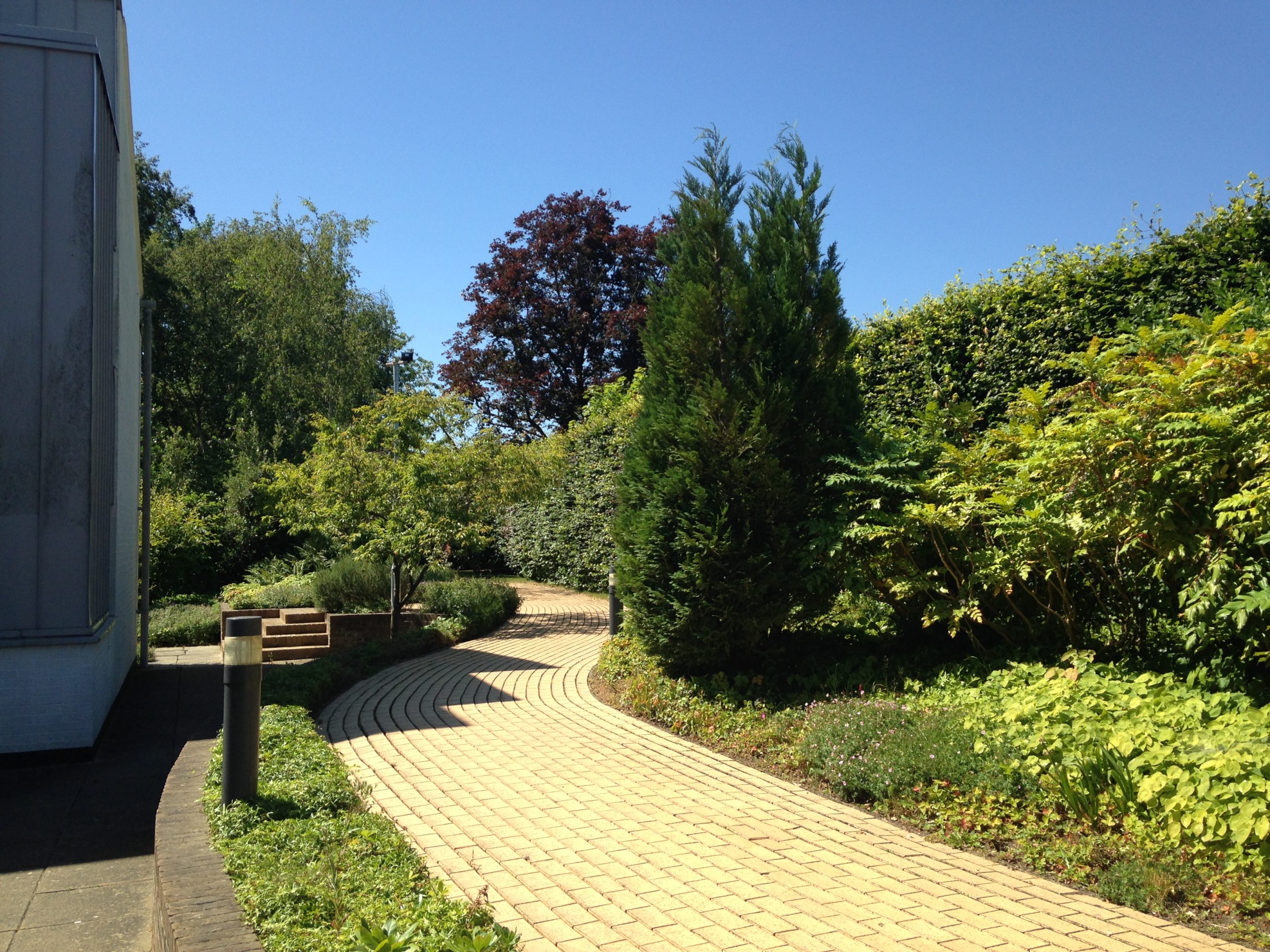 Goodbye Yellow Brick Road – My Farewell to Cambridge