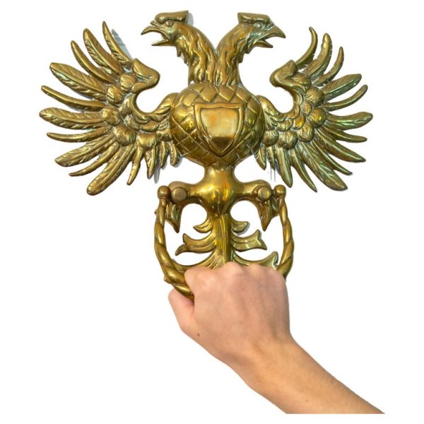 f_37074622_1699916195723_bg_processed