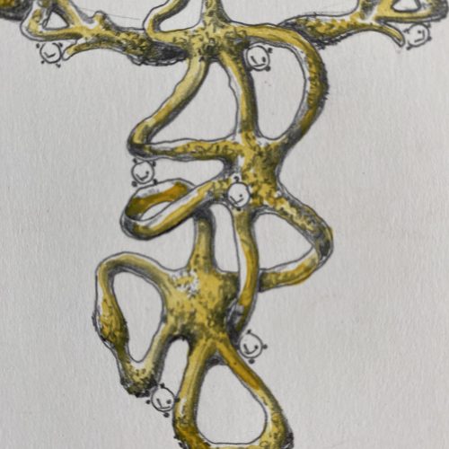 65FAClarinda closeup 2